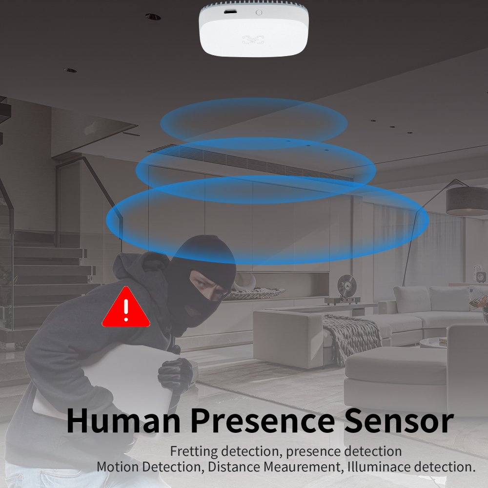 24G Mmwave Radar Human Presenc - Tasmota 评论和价格