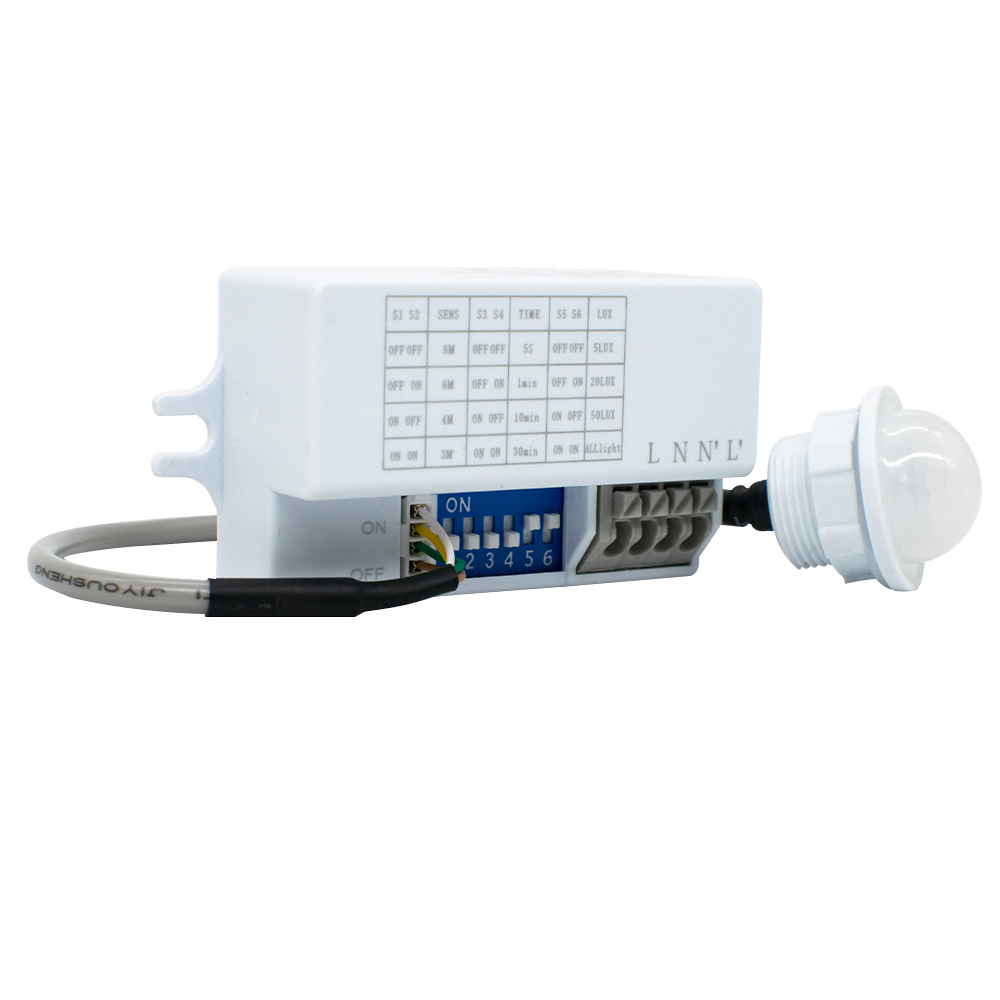 Motion Sensor Light Switch 220 - Tasmota 评论和价格